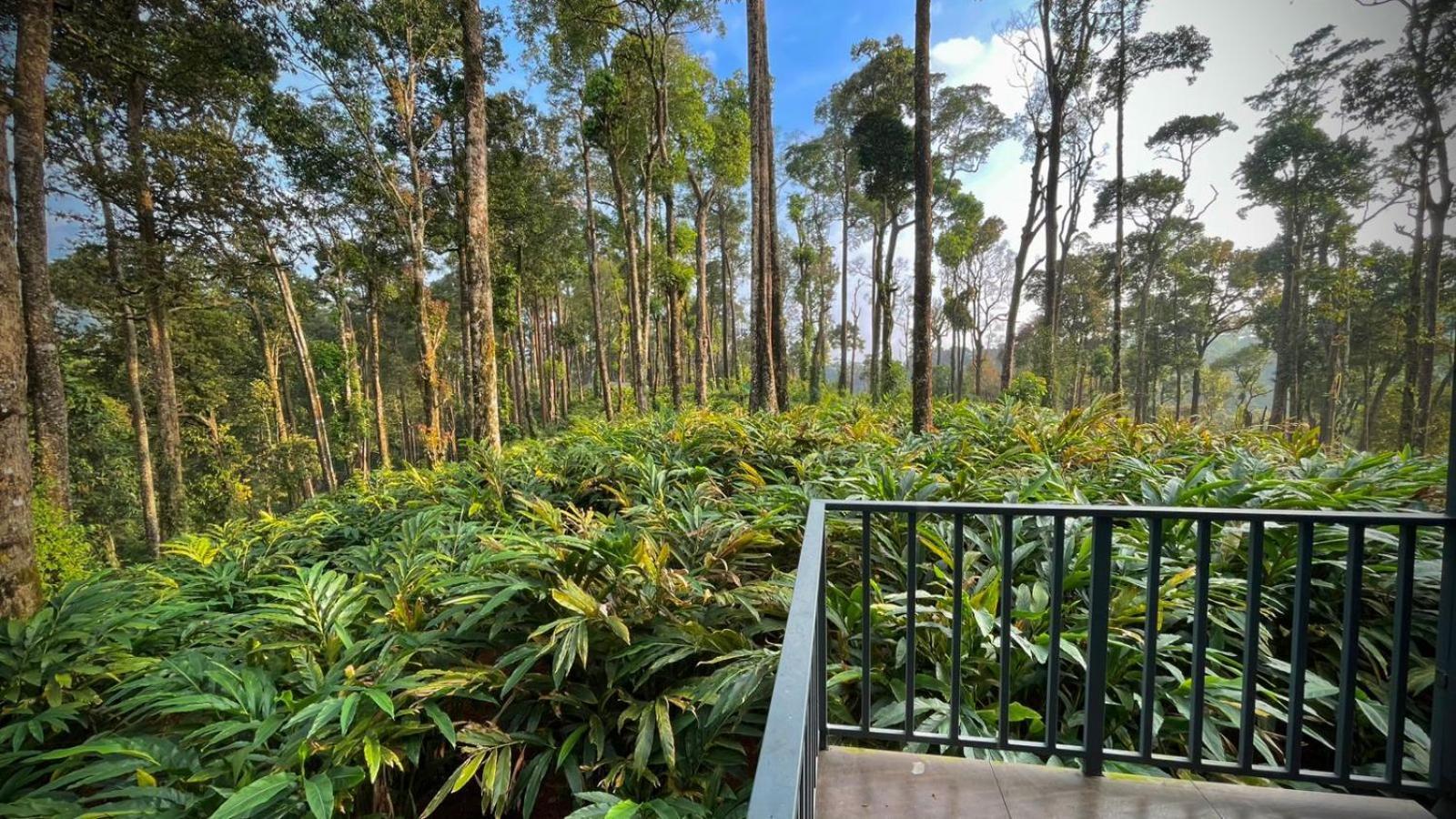 Forestscape Resort Мунар Екстериор снимка